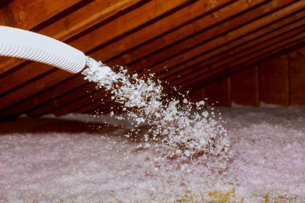 Best Spray Foam Insulation  in Petoskey, MI