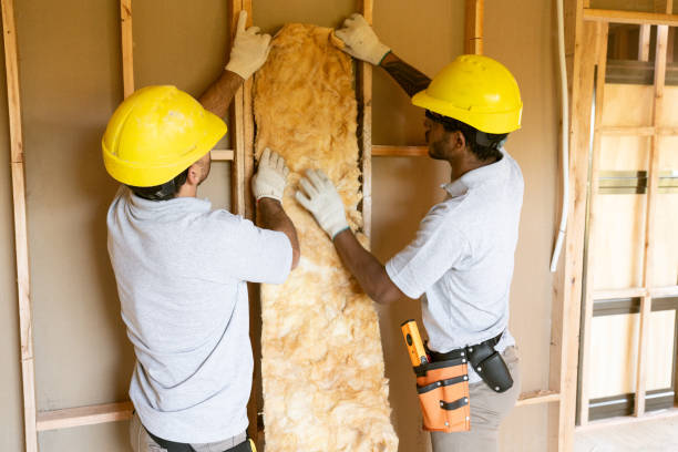 Best Wall Insulation Contractor  in Petoskey, MI