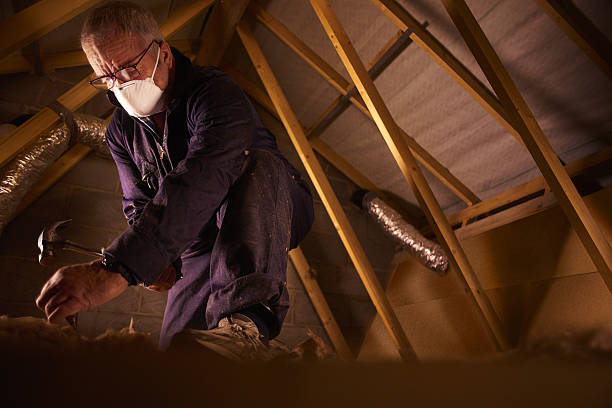 Best Soundproof Insulation Installation  in Petoskey, MI